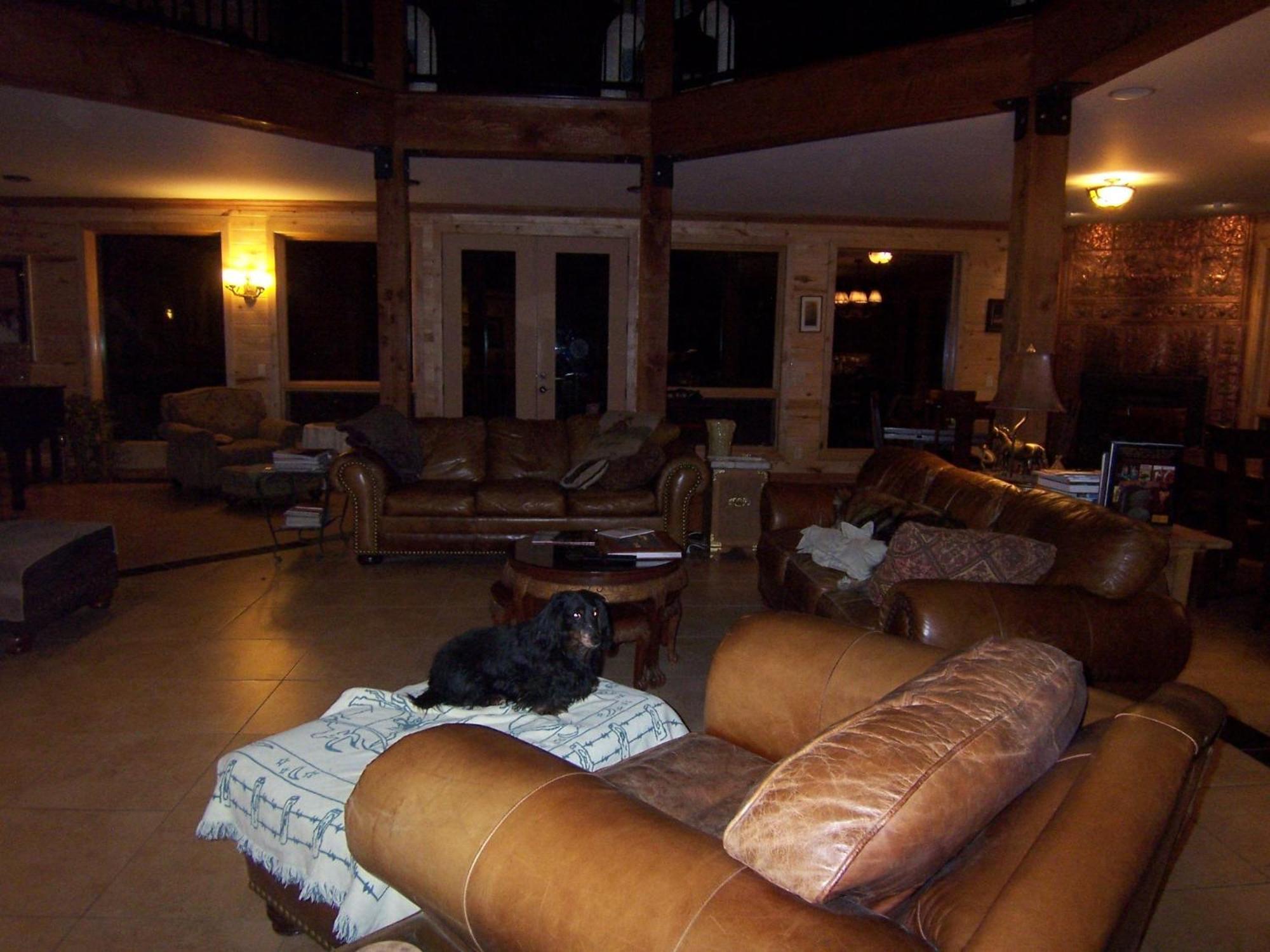Elktrace Bed And Breakfast Pagosa Springs Exteriör bild
