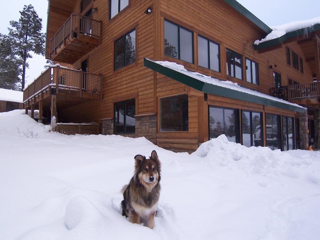 Elktrace Bed And Breakfast Pagosa Springs Exteriör bild