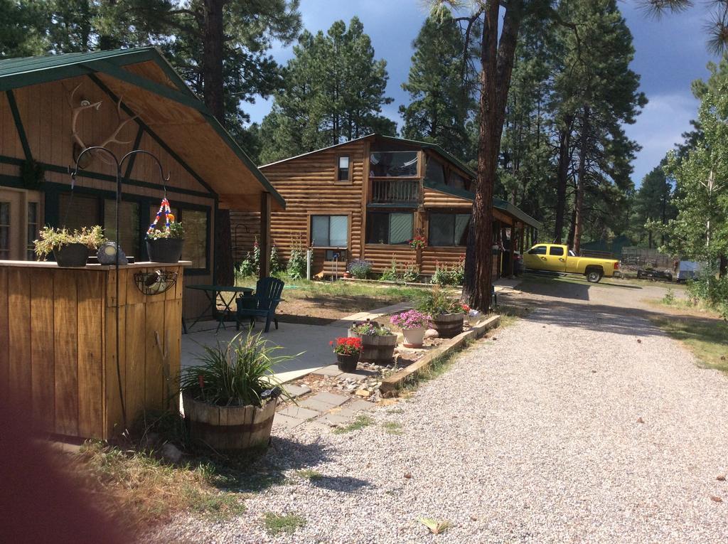 Elktrace Bed And Breakfast Pagosa Springs Exteriör bild