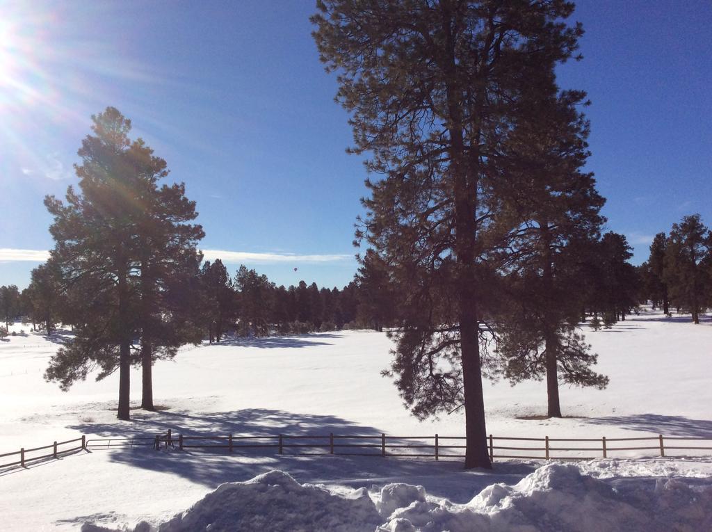 Elktrace Bed And Breakfast Pagosa Springs Exteriör bild