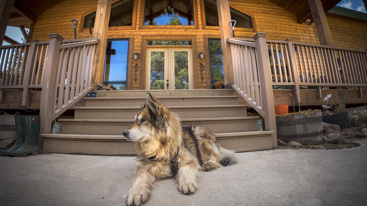 Elktrace Bed And Breakfast Pagosa Springs Exteriör bild