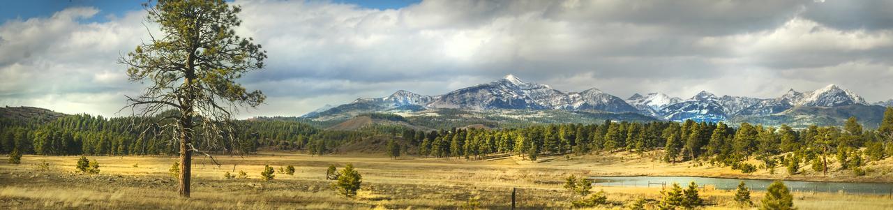 Elktrace Bed And Breakfast Pagosa Springs Exteriör bild